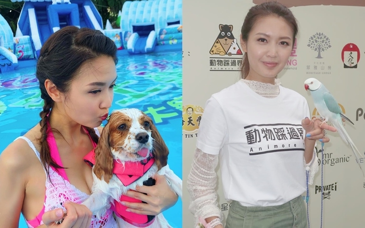 陳庭欣養了6隻鸚鵡及2隻狗,笑言屋企是爆滿狀態。