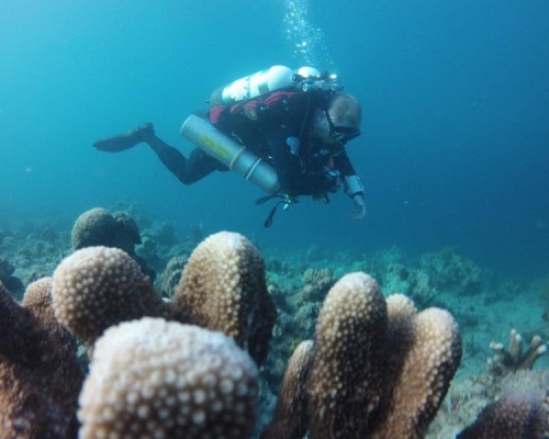 何麥香港首名能培訓導師教授國際水肺潛水（SDI）、國際技術潛水（TDI）和國際緊急反應潛水（EDRI）資格的人。受訪者提供