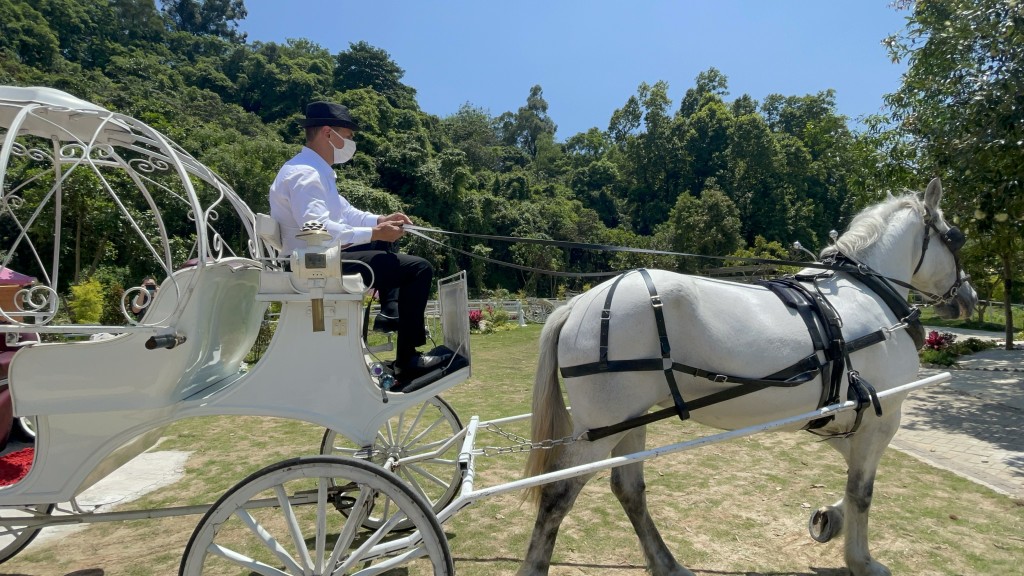 白马马车是农庄的一大卖点。