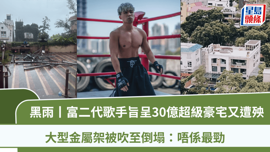 黑雨丨富二代歌手旨呈30億超級豪宅又遭殃  大型金屬架被吹至倒塌：唔係最勁