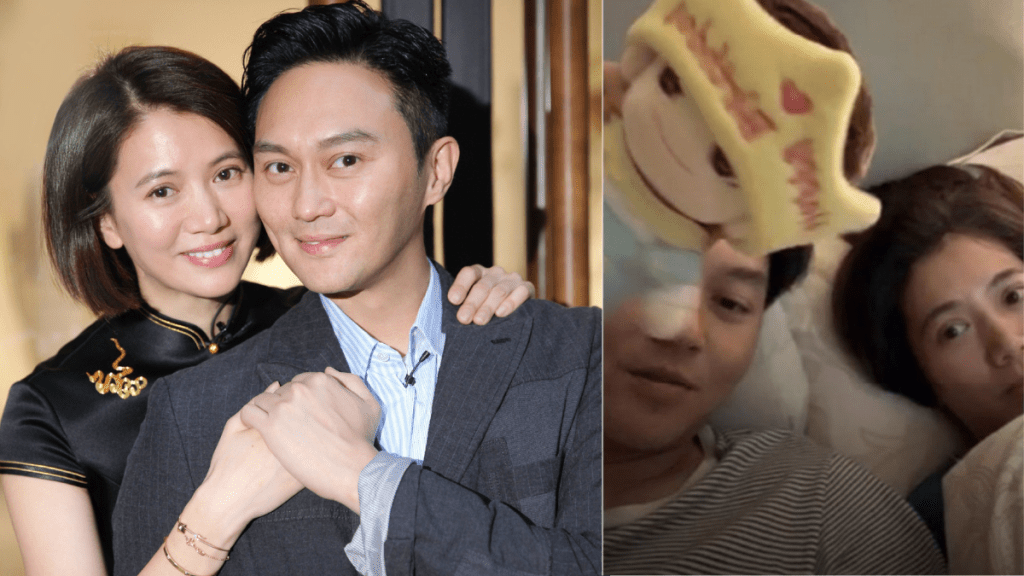 袁詠儀張智霖放閃洩豪宅巨廳  擺設添藝術氣息  夫妻名下物業版圖驚人手持逾億物業