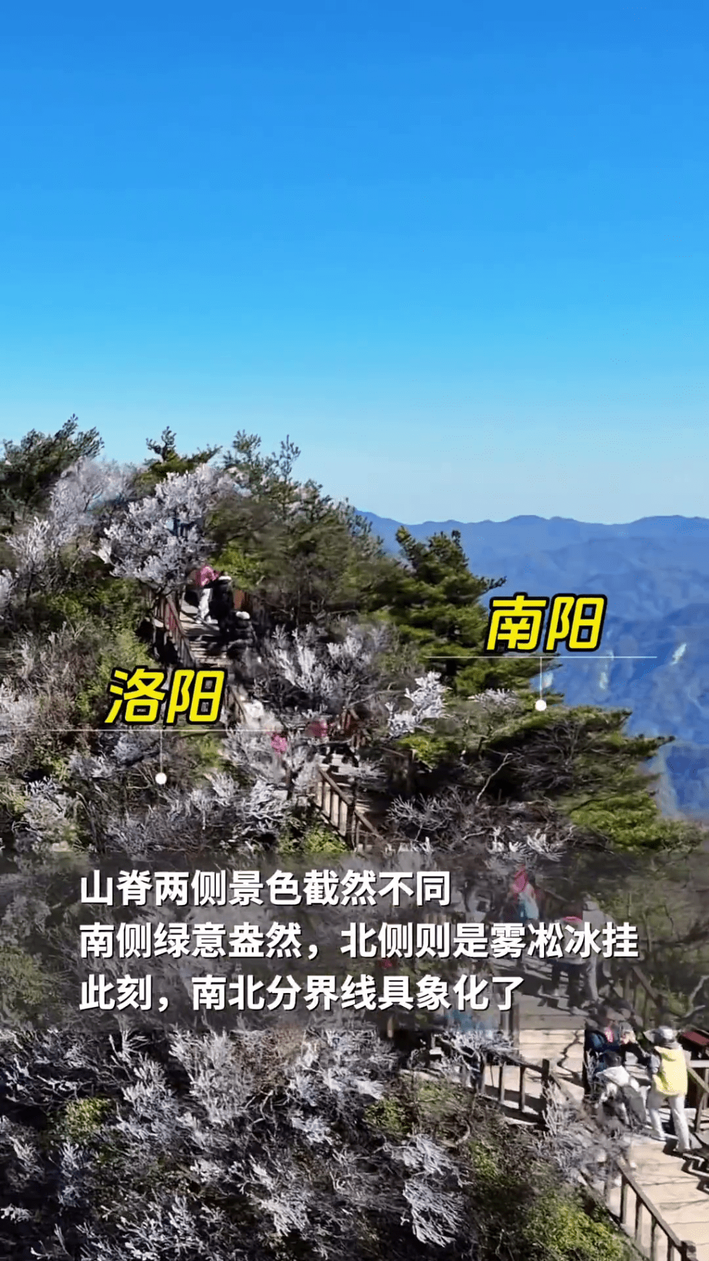 老君山「陰陽分界」再現。  老君山「陰陽分界」再現。
