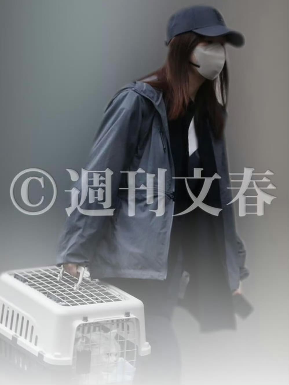《週刊文春》拍到指原帶愛貓睇獸醫,犬飼則在車上等她。 《週刊文春》拍到指原帶愛貓睇獸醫,犬飼則在車上等她。