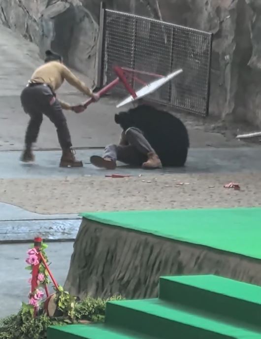 杭州有動物園的黑熊表演途中發狂，攻擊飼養員。微博