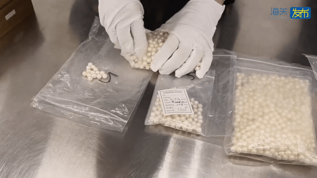 北上男煙盒藏5399顆珍珠,福田口岸斷正。 海關發布 北上男煙盒藏5399顆珍珠,福田口岸斷正。 海關發布