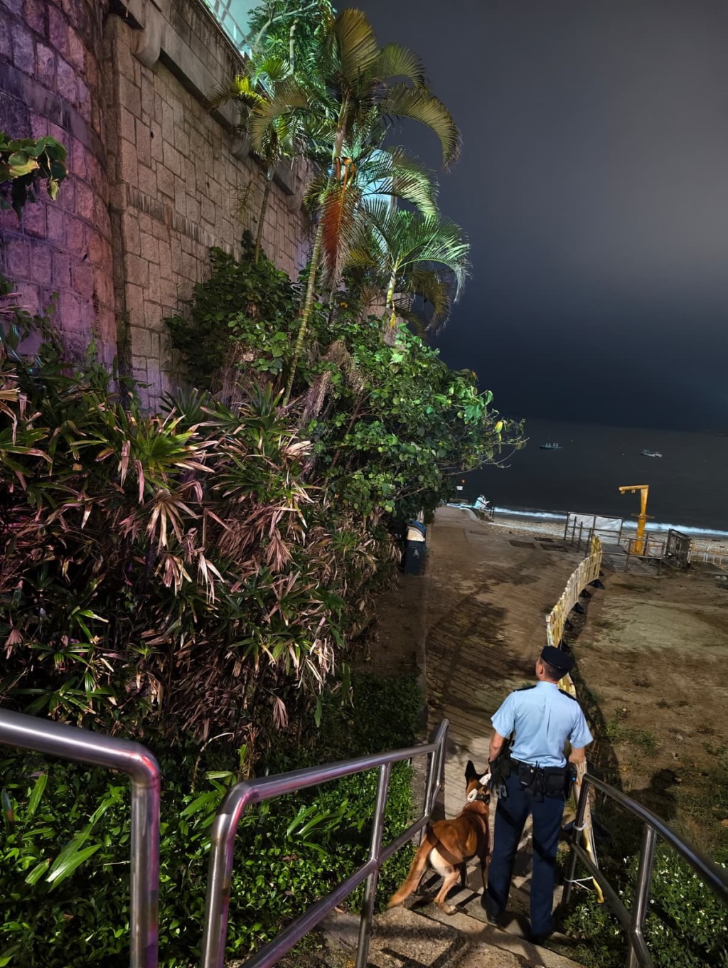 警方重點巡查及高調巡邏香港島半山郊區及港島南區水域一帶鄰近屋苑的山坡與密林。 警方重點巡查及高調巡邏香港島半山郊區及港島南區水域一帶鄰近屋苑的山坡與密林。