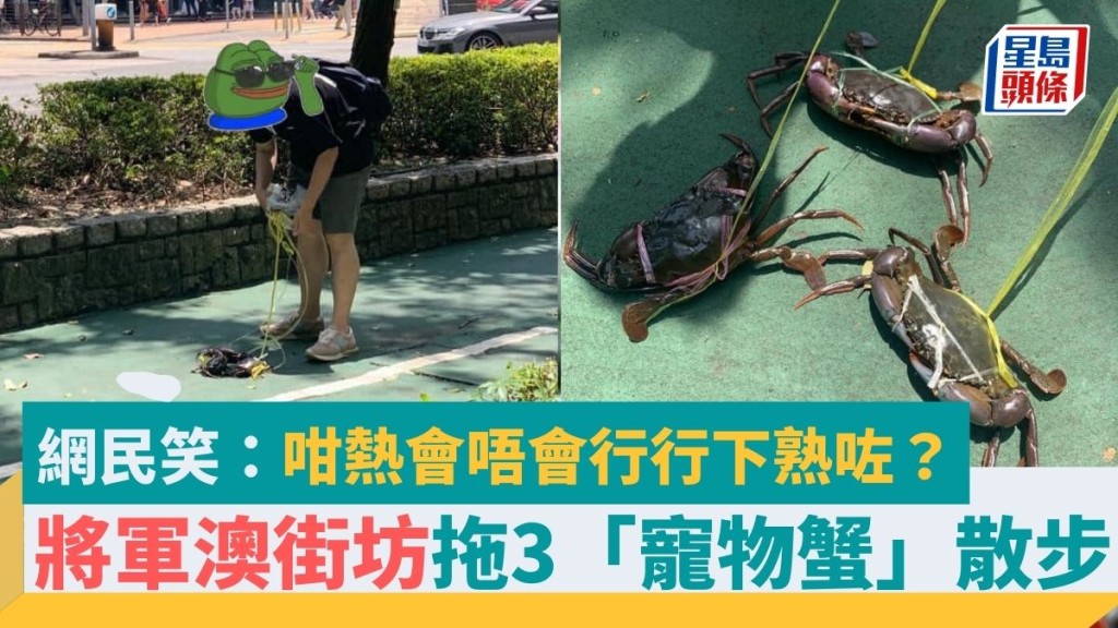 將軍澳街坊烈日當空拖3「寵物蟹」散步　網民笑指「會唔會行行下熟咗？」