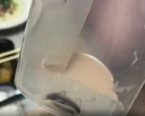 喝完奶茶惊见杯底有蟑螂，女客投诉反遭恐吓。