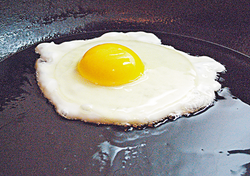 ●控制蛋白质吸收是控制肾病最重要的一环。