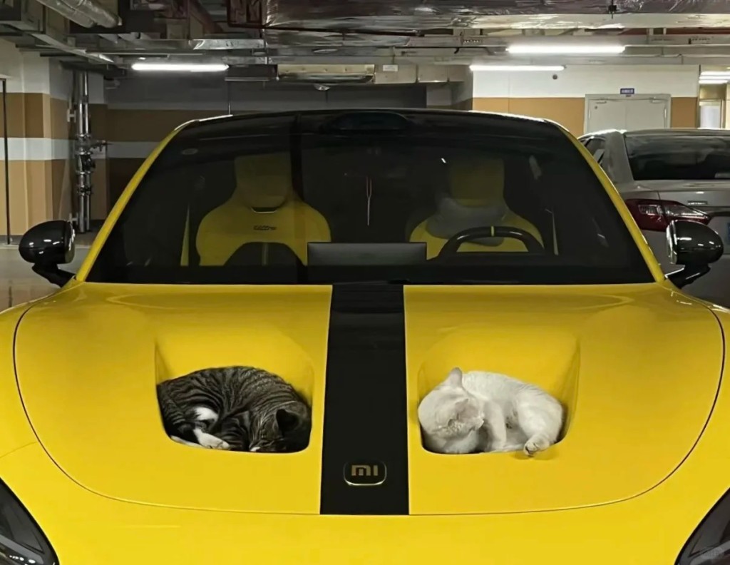 小米SU7 Ultra車頭冚的雙凹位變完美貓窩。小紅書