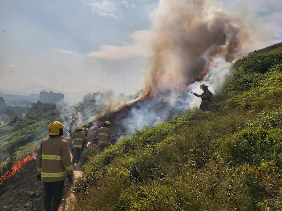 重陽節消防員往往疲於奔命撲救山火。消防處FB