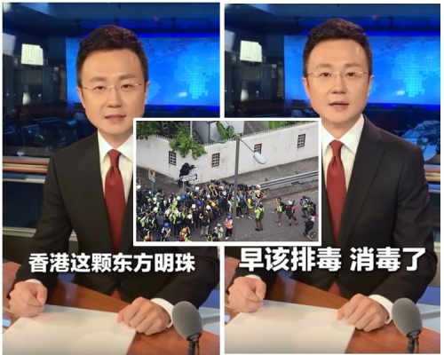 央视主播刚强表示，香港该排毒了。影片截图
