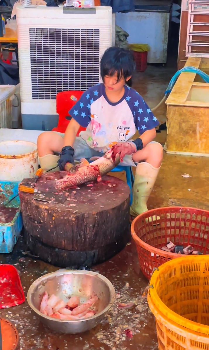 11歲顧家女孩洪琛利落的劏魚手法在網上爆紅。抖音