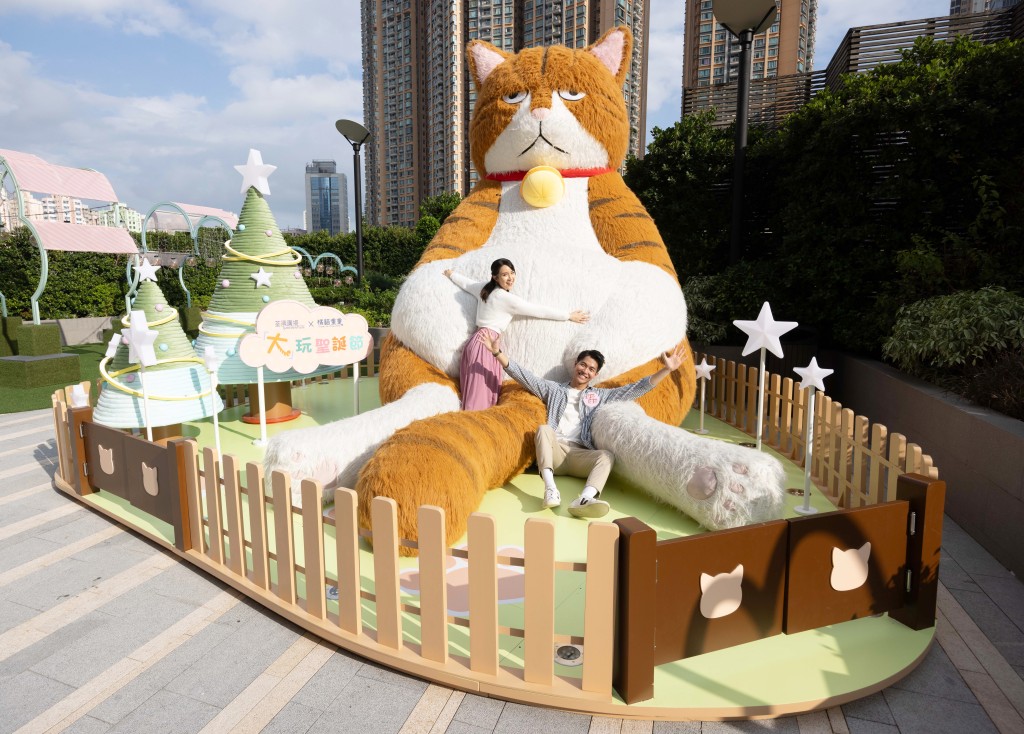 今个圣诞，荃湾广场将会展出台湾直送嘅厌世猫猫！