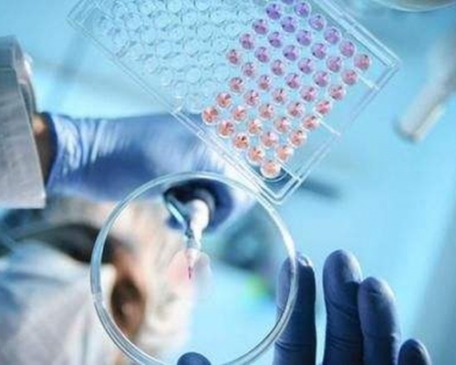 內地新冠肺炎治療性抗體進入臨床實驗，首個受試者給藥在上海完成。(網圖)