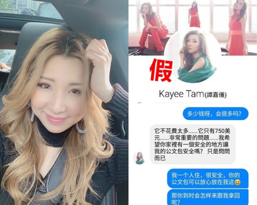 譚嘉儀怒斥遭人假冒FB。譚嘉儀fb