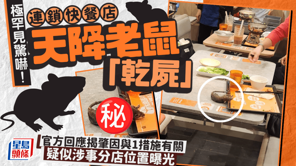 極罕見驚嚇!連鎖快餐店天降老鼠「乾屍」 官方回應揭肇因與1措施有關 疑似涉事分店位置曝光|Juicy叮