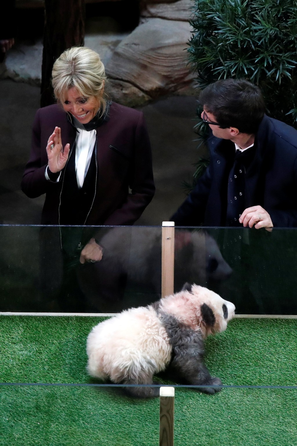 法国第一夫人特罗尼厄喜见「契仔」大熊猫「圆梦」。旁为博瓦勒动物园园长德洛尔（Rodolphe Delord）。 路透社