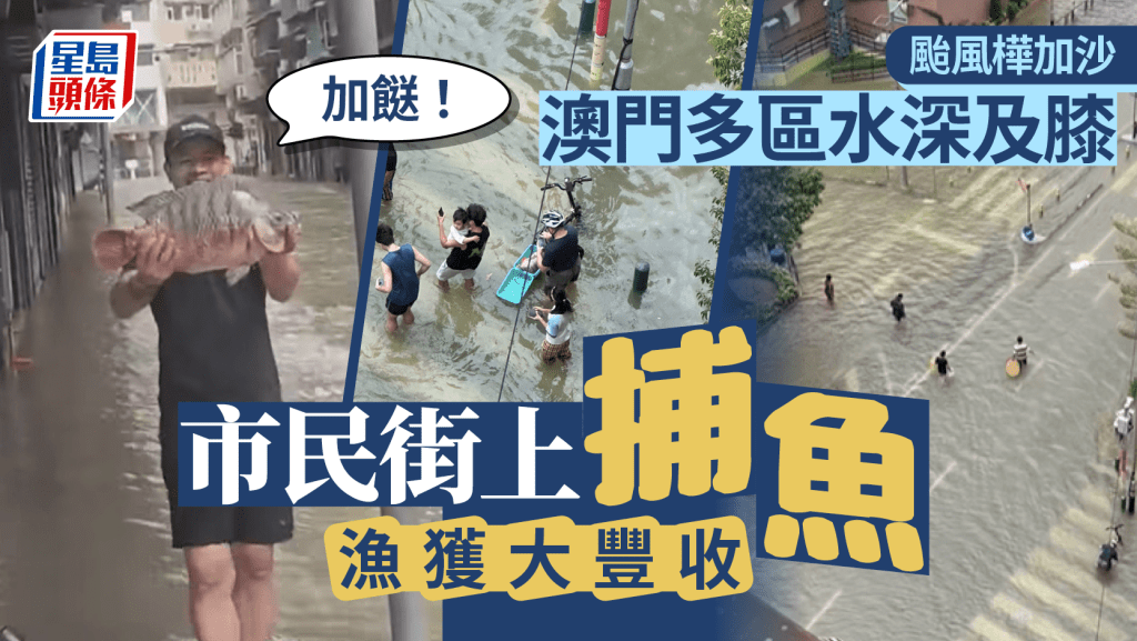 颱風樺加沙︱澳門人「內陸趕海」魚穫滿滿 網民笑稱十號風球下成功加餐