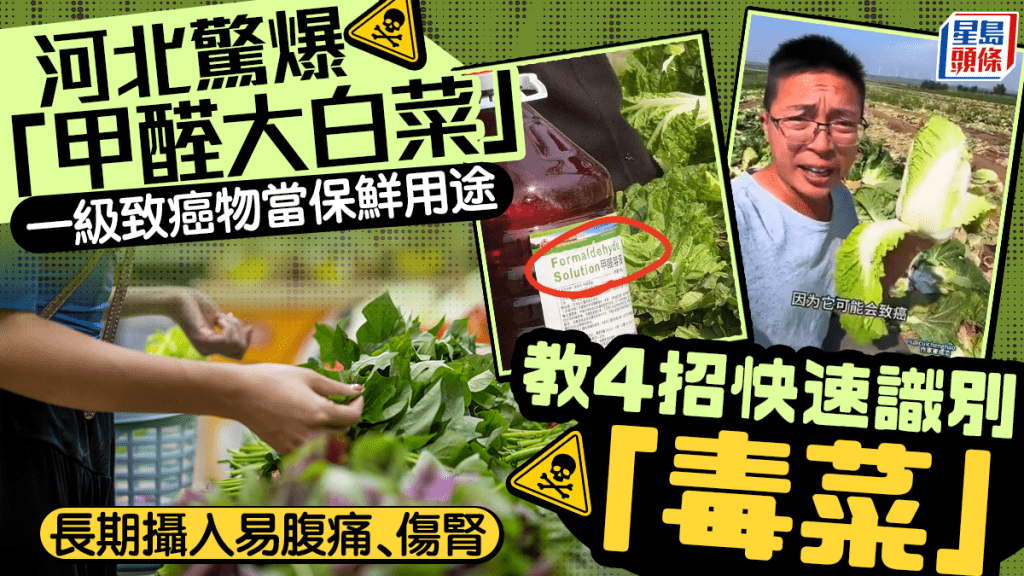 河北驚爆「甲醛大白菜」一級致癌物當保鮮用途 長期攝入易腹痛、傷腎 教4招快速識別「毒菜」