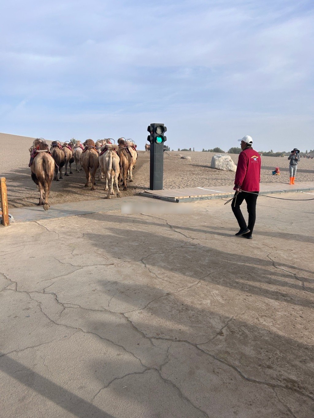 敦煌特设骆驼交通灯，保障景点畅通。微博