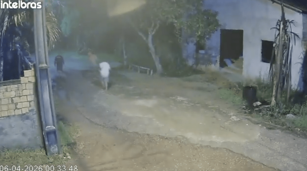 监狱外的监视器画面更捕捉到离奇一幕：部分囚犯逃出生天后，完全没有逃犯应有的惊慌神色，反而像普通路人般结伴行走在附近街区，态度极其从容。X@republiqueBRA