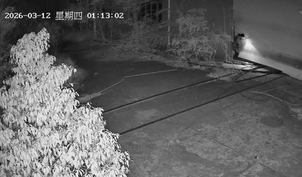 小偷聲到鬼笑聲後嚇得原路逃走。微博