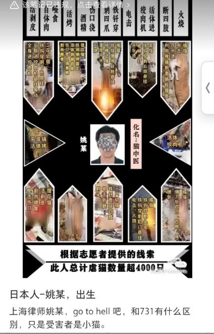 貓義工聲稱姚某殺害逾4000隻貓。微博