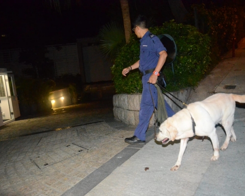 警方帶同警犬在附近搜索。