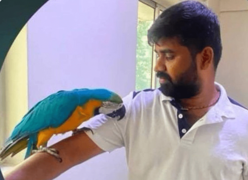 庫馬爾與心愛的鸚鵡。X@ndtv.com 庫馬爾與心愛的鸚鵡。X@ndtv.com