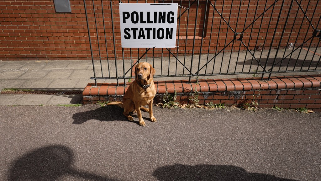 一只狗在伦敦南菲尔德斯的票站外乖乖等候。 美联社