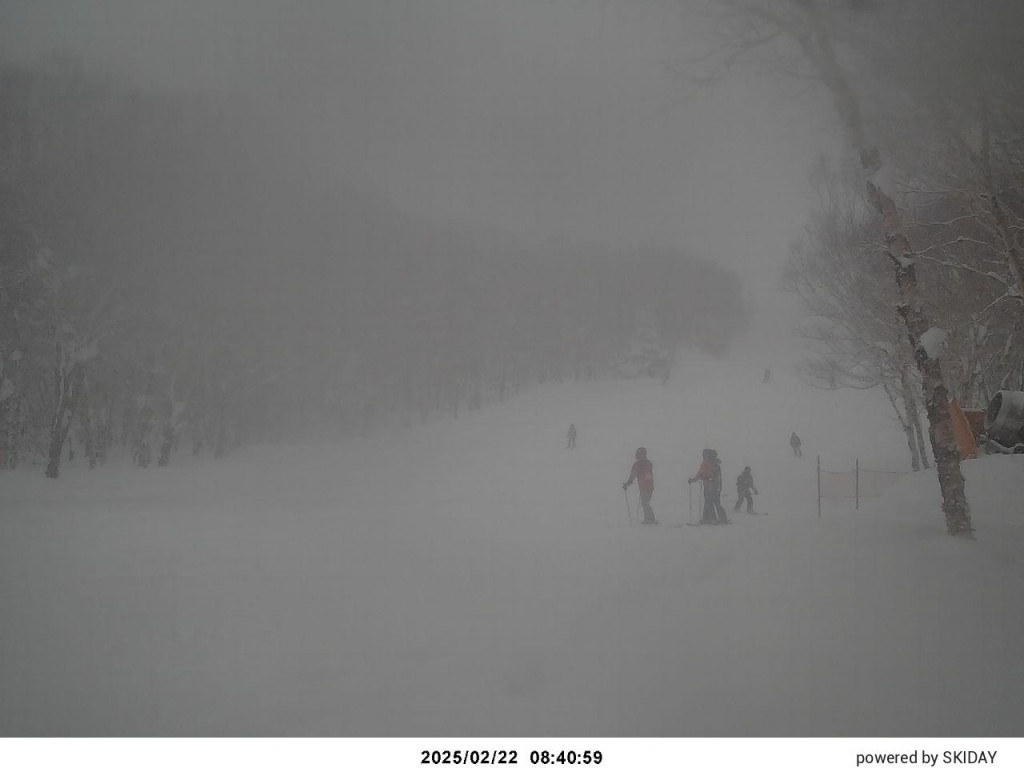 今日志賀高原焼額山其中一條滑雪道的情況。  志賀高原王子大飯店live cam