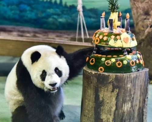 園方送上精心製作的雙層大蛋糕。