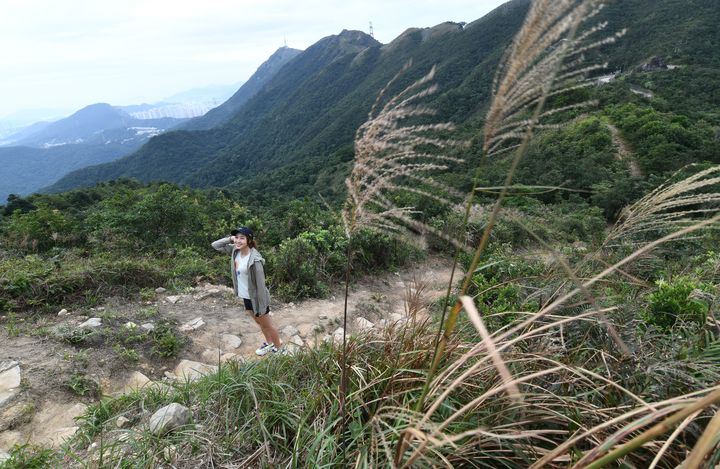 东洋山也是「香港远足挑战」的其中一个打卡点。