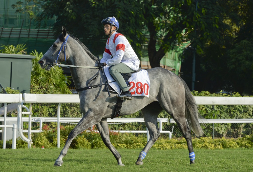 「川河達駒」始終已不復當年勇，因此幕後決定退役。