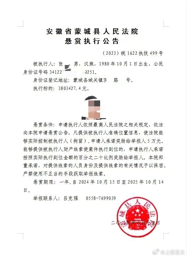 據指是代孕機構幕後老闆的張某，曾被蒙城縣人民法院列為失信人名單。