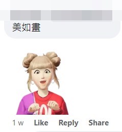 網民：美如畫。fb「香港風景攝影會」截圖