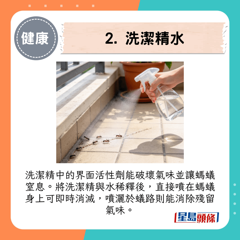 2. 洗洁精水