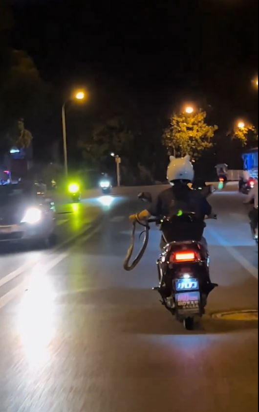 女騎士單手捉蛇駕車影片引起網民熱傳。微博