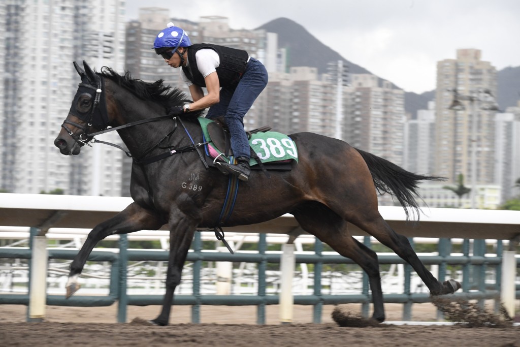 何澤堯差不多包辦「俏郎中」所有快跳課期，今朝操練期間更多次拍馬頸。