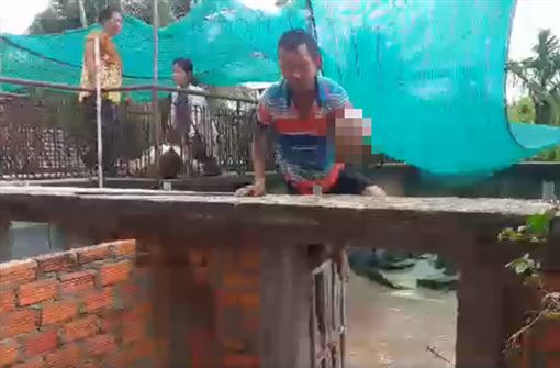 父亲未有穿上任何保护工具，即跳入鳄鱼池中。网图