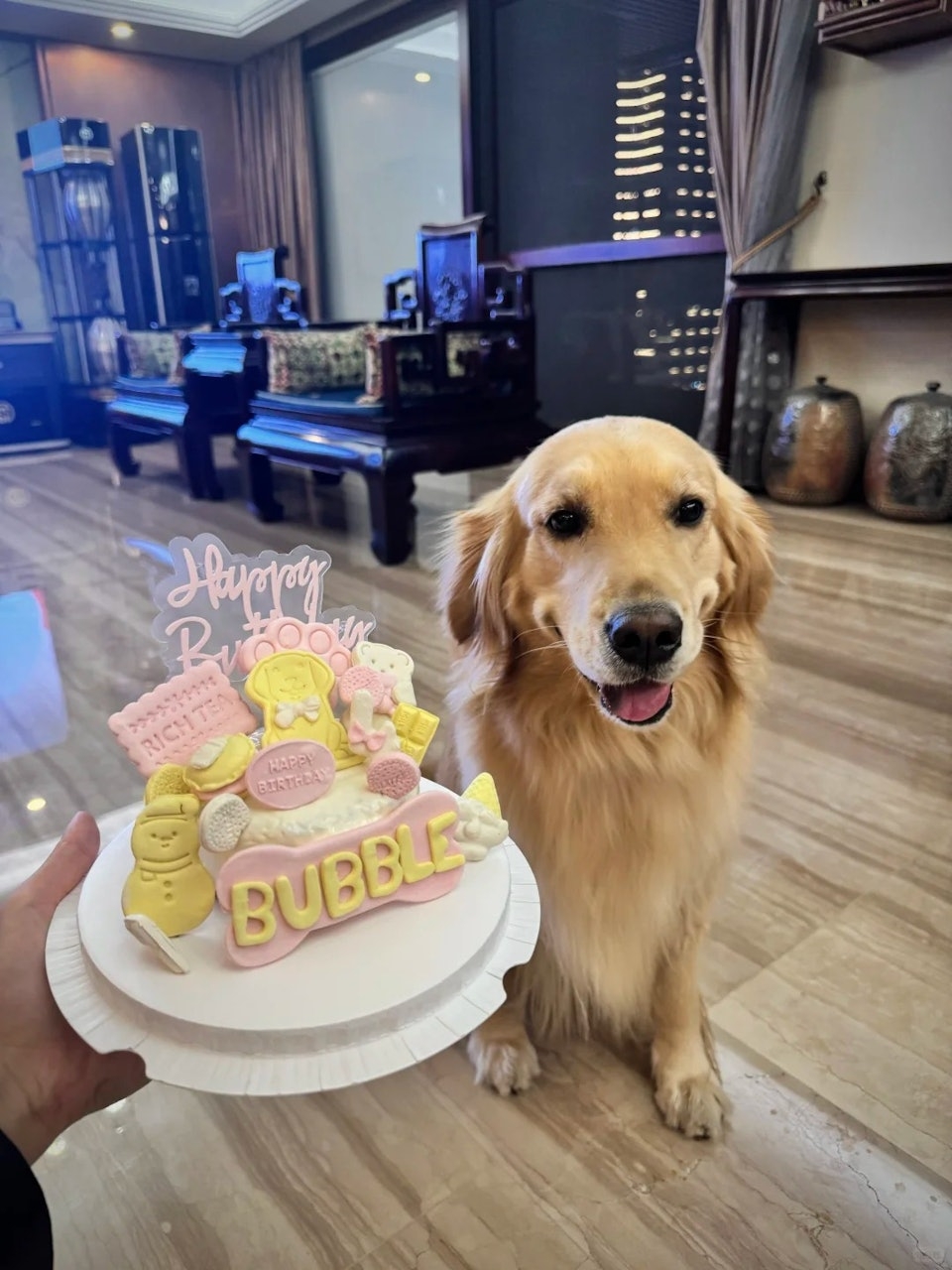 女事主发布爱犬的生活照。 小红书