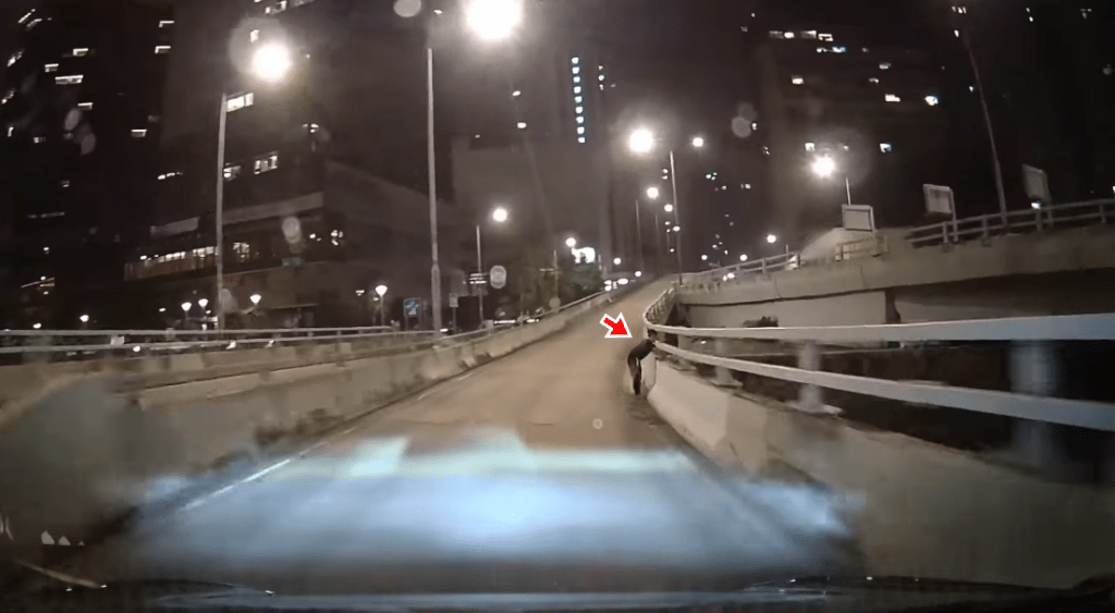 橋面路邊突然出現一名黑衣男。fb：車cam L（香港群組）