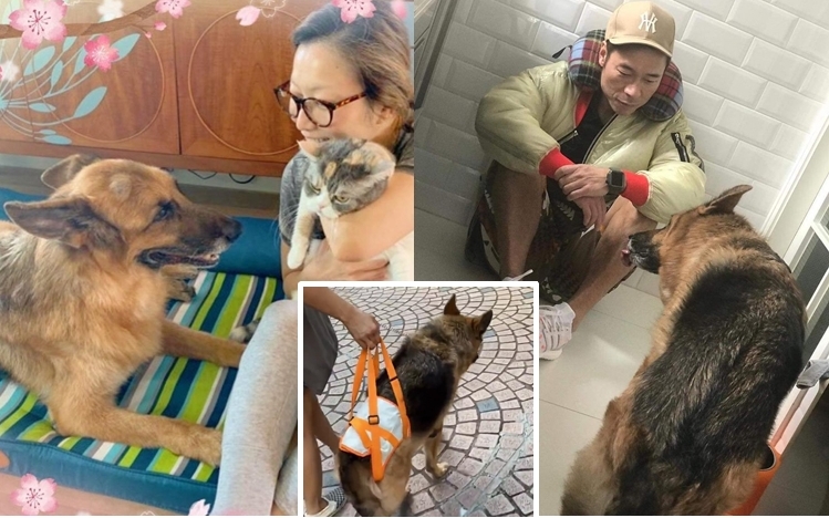 安仔养的Lucky经已十五岁了，虽然行得比较吃力，但有Sammi陪伴，变得好有动力。