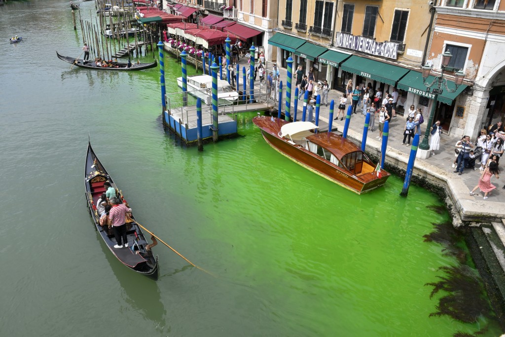 威尼斯著名的貢多拉駛過綠色河面。AP