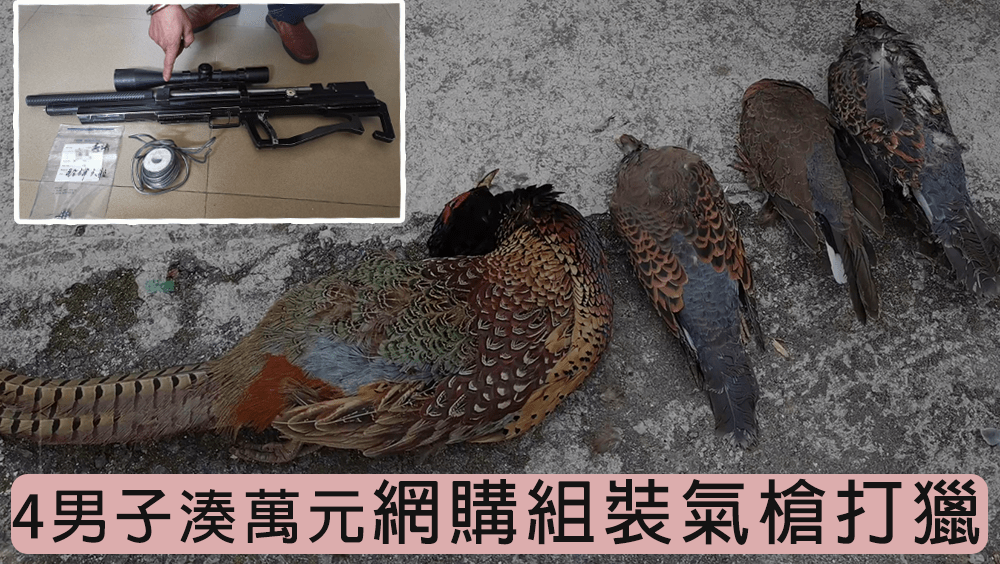 重慶4男子饞野味，網購組裝氣槍打獵。