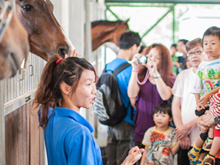 馬房參觀活動（圖片來源：香港賽馬會）