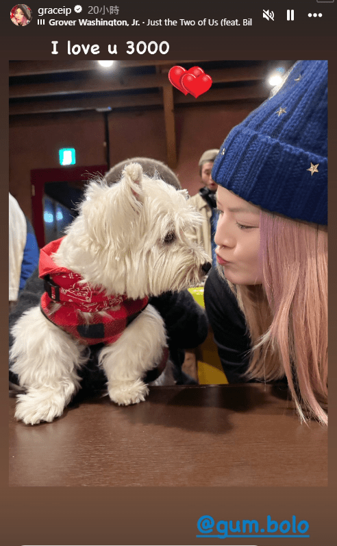 昨日葉佩雯同愛犬在北海道合照。