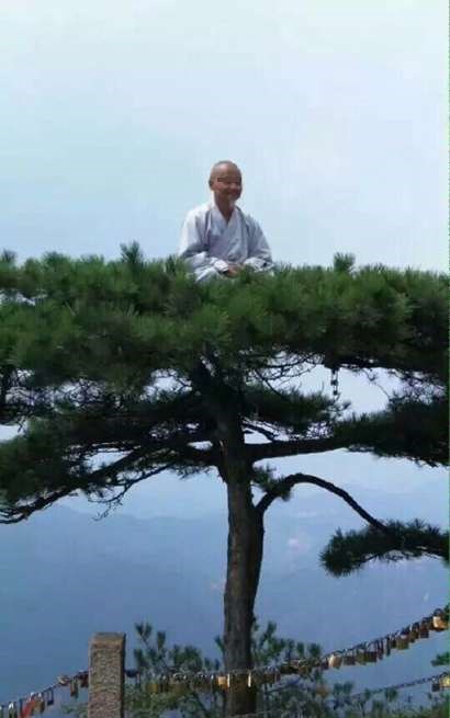 2015年時，網上流傳一名僧人在九華山一棵松樹頂上盤腿打坐。網上截圖