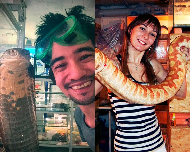 瓦利及卡佳是當地有名的蛇類專家。